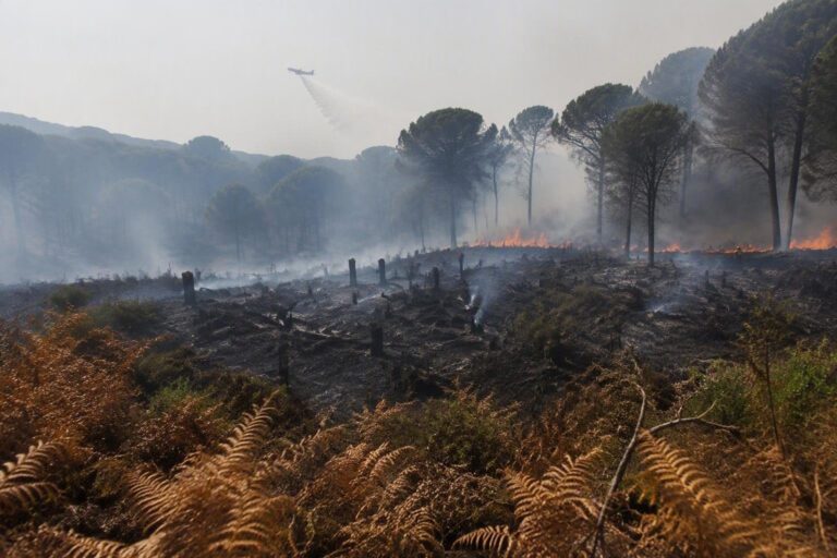 Incendio in Ogliastra: Canadair e volontari in azione per salvare case e boschi