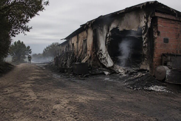 Olbia, deposito attrezzi in fiamme: intervento tempestivo dei pompieri