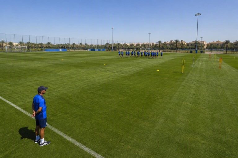 Zola nominato coordinatore attività giovanili Federcalcio: dettagli e prospettive