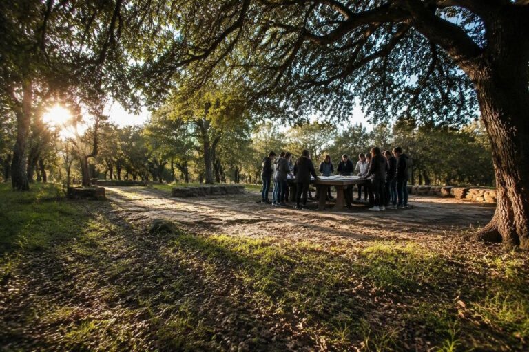 Lezioni sotto gli alberi: Pirri lancia l’inizio dell’anno nel parco