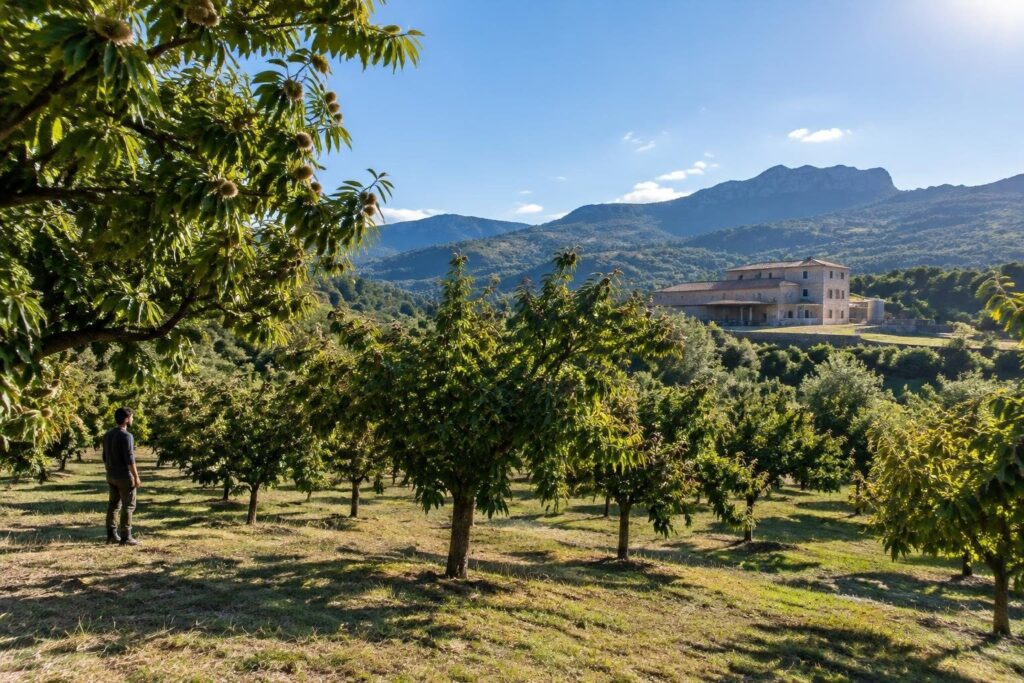 Crescita imprenditoriale del Nuorese: +8,1% di nuove attività nel 2026