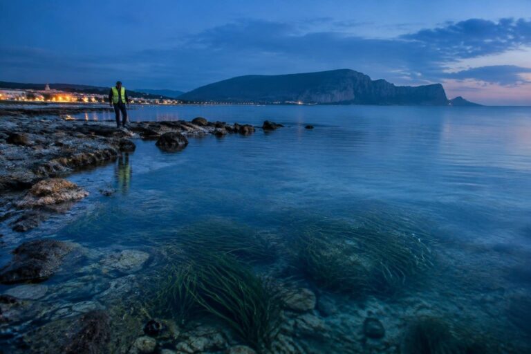 Finanziamento regionale per i Comuni nella tutela della posidonia