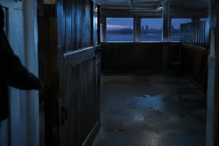 Procedimento penale per la morte di quattro purosangue su nave Moby