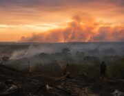 72 Arrested in Indonesia as Forest Fires Spread Haze Across Southeast Asia