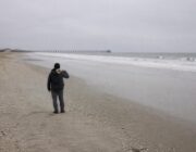 Prehistoric discovery: Pennsylvania family finds megalodon tooth at Sea Isle City beach