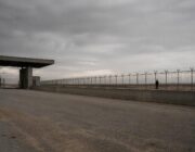 Trump Administration's Immigration Enforcement Reaches New Heights in July 2026