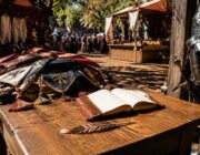 Well Versed book release – second-chance love at a Renaissance Faire