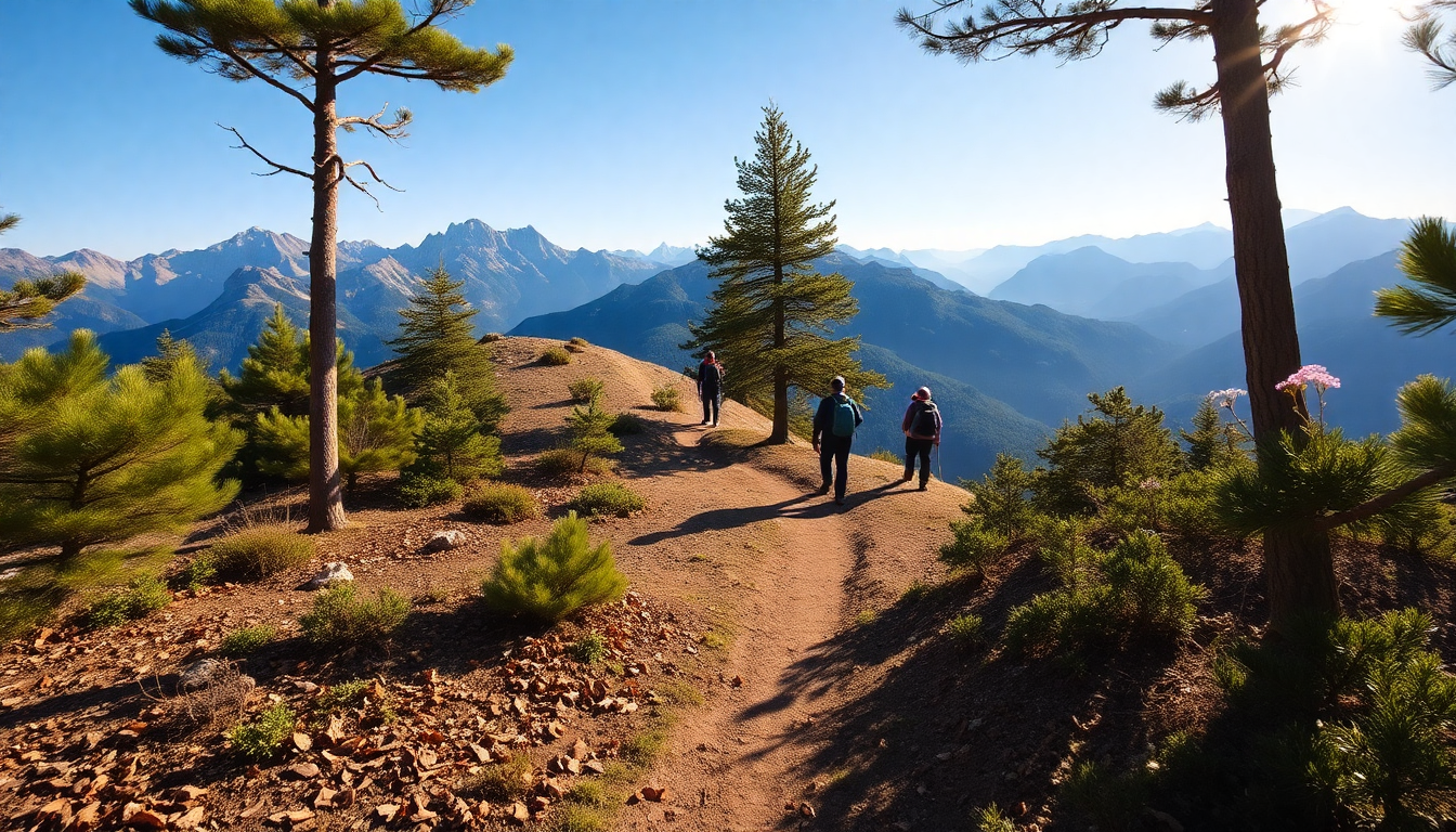 Effective strategies for ensuring safety in mountain hiking