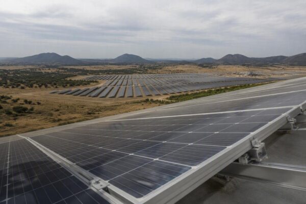 Energía Real Achieves Significant Environmental Milestones in 2026