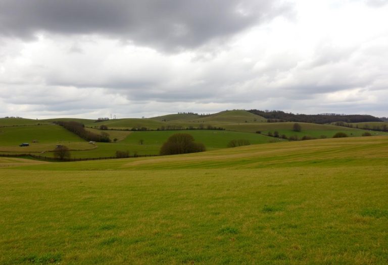 1216x832 25 20 15 22 415567562