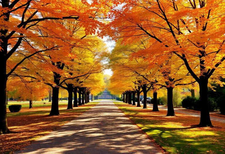 1216x832 18 16 15 26 319994354