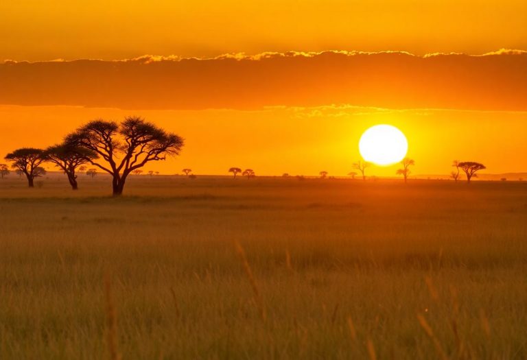 1216x832 21 11 15 35 812173237