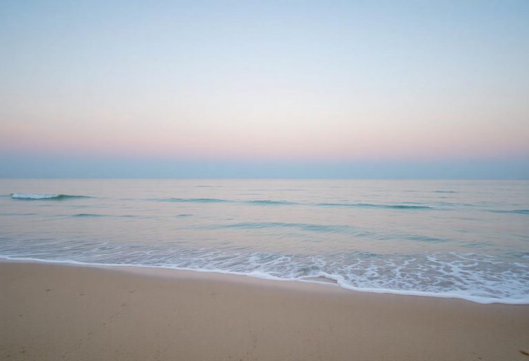 1216x832 29 19 30 30 409540322