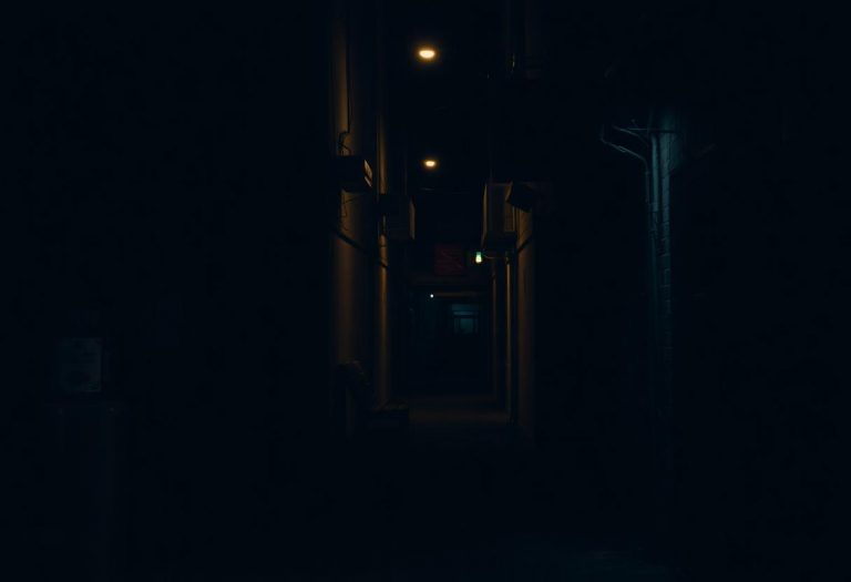 1216x832 03 11 15 26 53687376