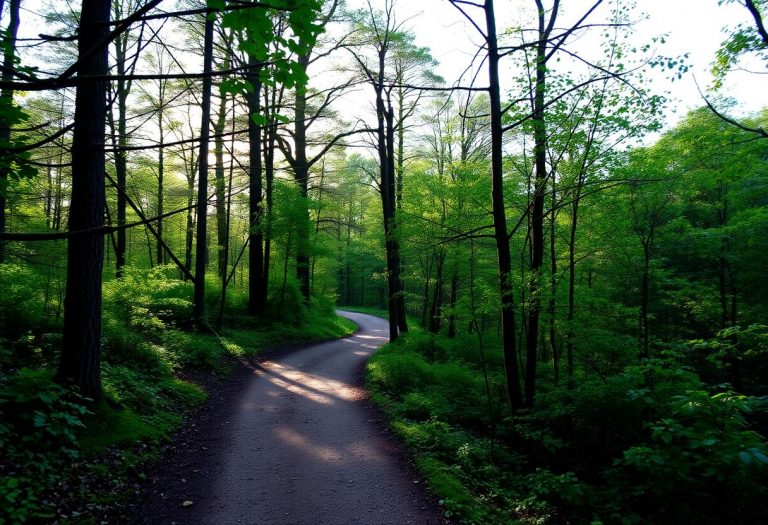 1216x832 12 20 45 29 733796794