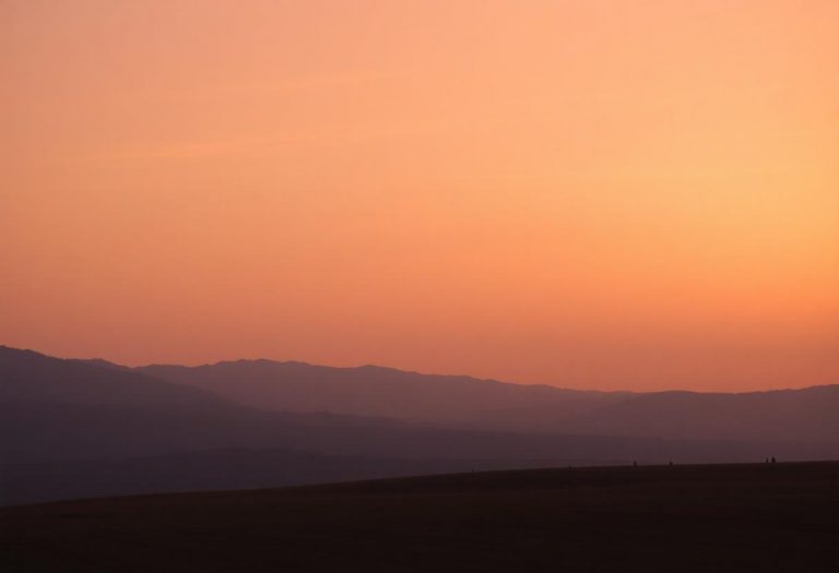 1216x832 23 03 30 29 233163923