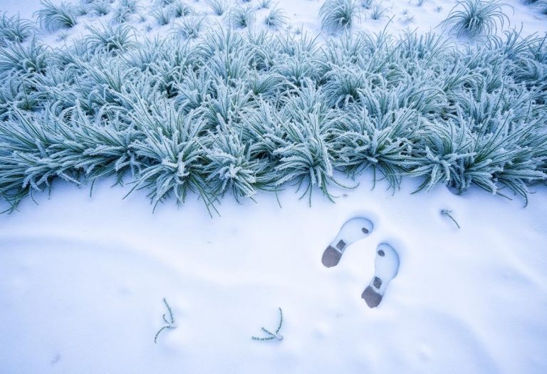 1216x832 27 13 15 39 237266541