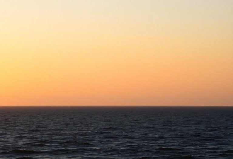 1216x832 11 17 45 53 293007260