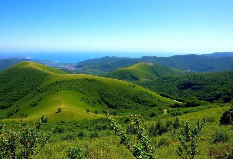 1216x832 16 06 15 22 963970302