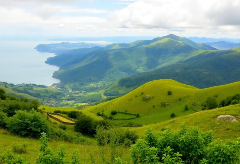 1216x832 20 12 00 23 779758164