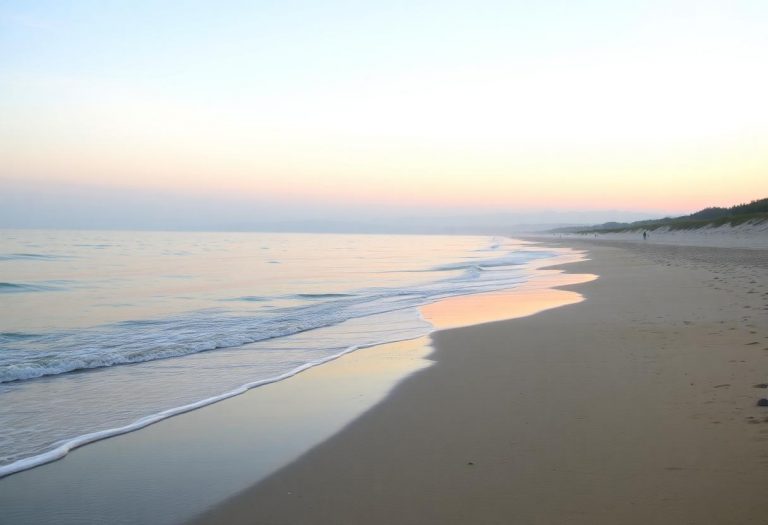 1216x832 29 17 45 24 914899382