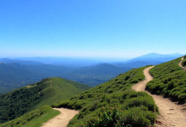 1216x832 31 22 30 39 968347352