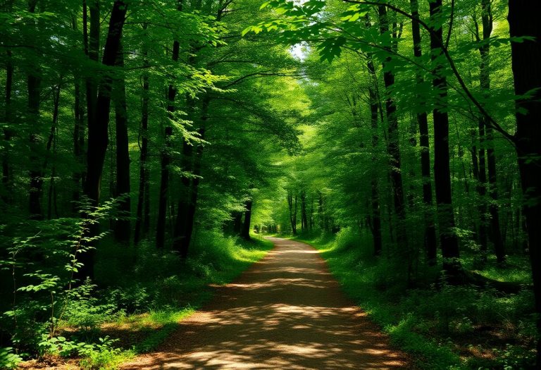 1216x832 04 08 30 28 139740544