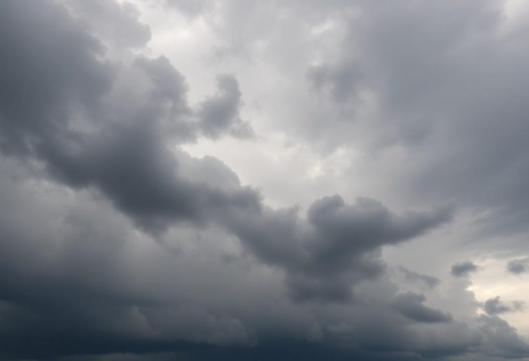 1216x832 04 23 45 24 270006665