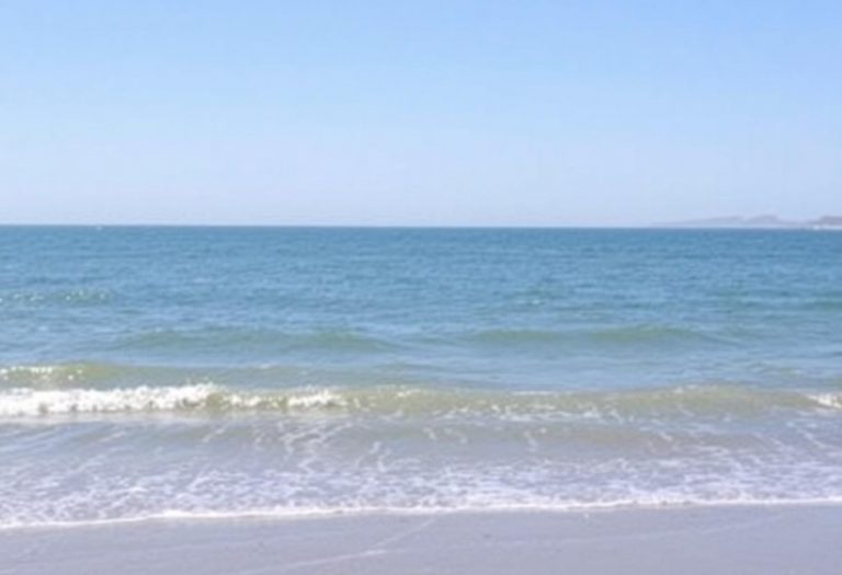 1216x832 15 09 15 27 188120848