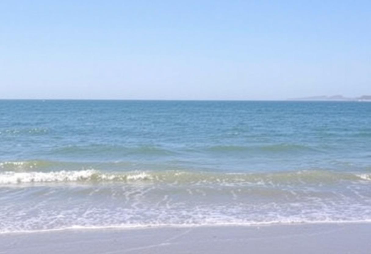 1216x832 15 09 15 27 188120848