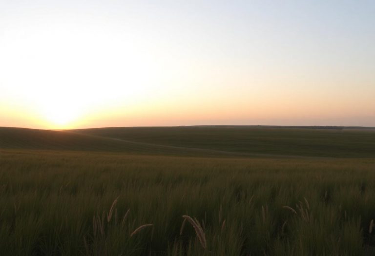 1216x832 15 16 15 31 356113170