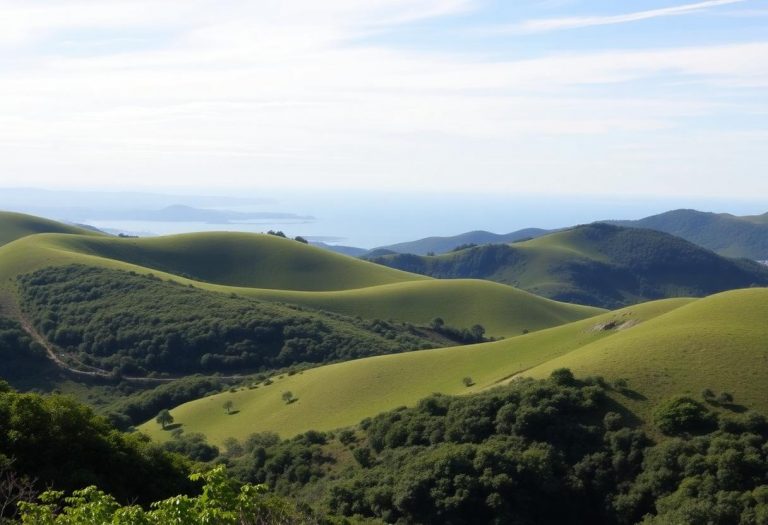 1216x832 18 12 30 21 113450657