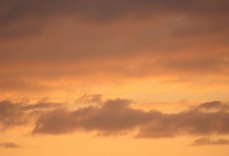 1216x832 20 23 00 24 465459647