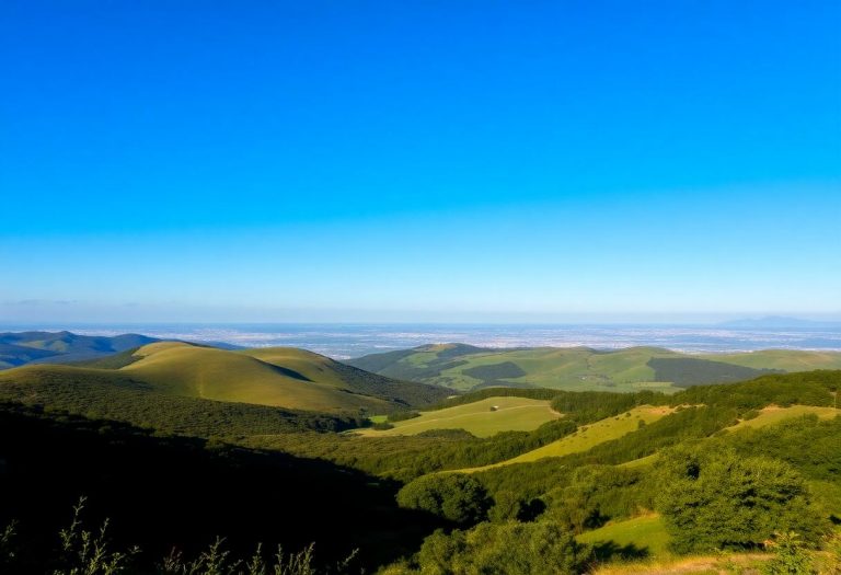 1216x832 23 21 15 31 943962959