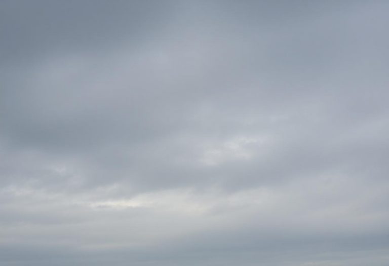 1216x832 25 03 30 25 457871288