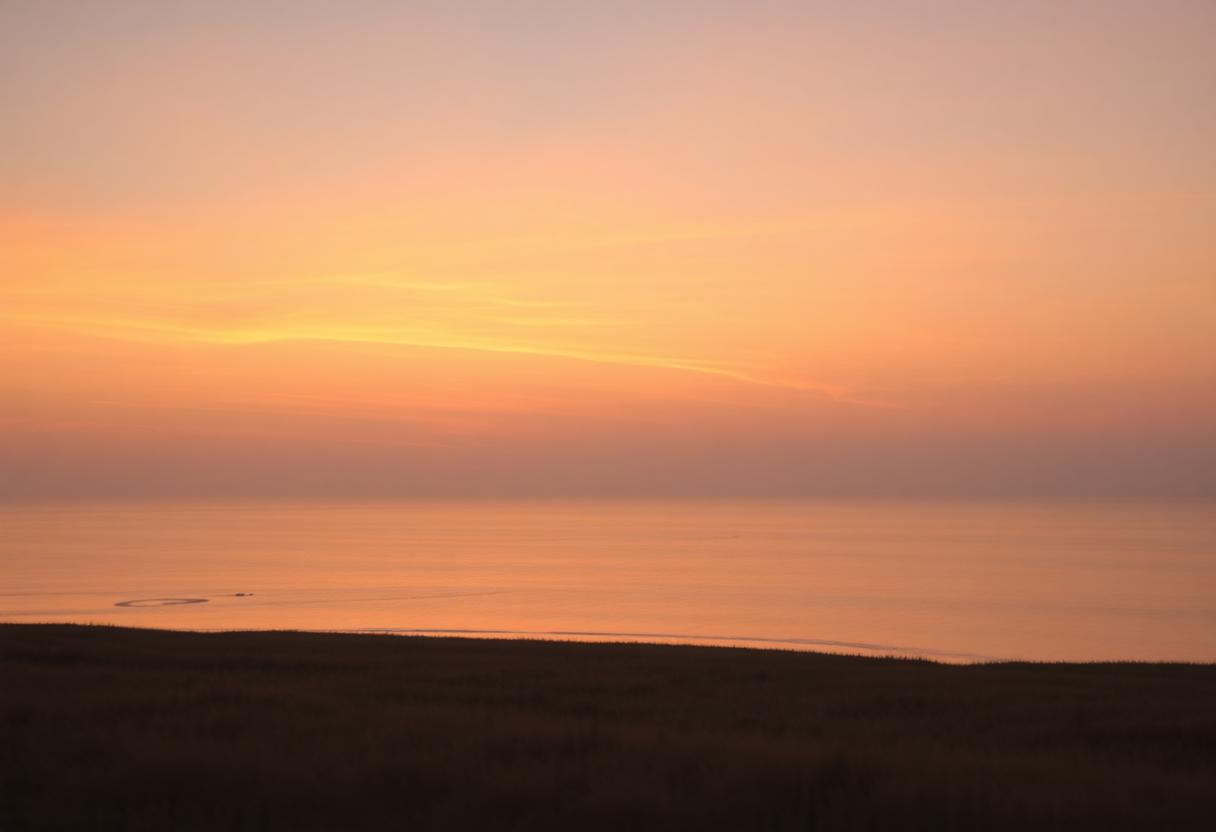 1216x832 26 16 15 25 864979447