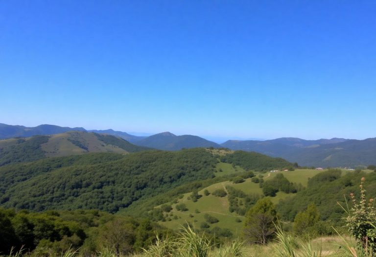 1216x832 06 01 01 31 985456674