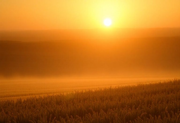 1216x832 14 02 45 42 542819887