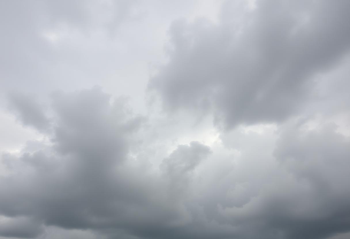 1216x832 19 06 30 25 312583610