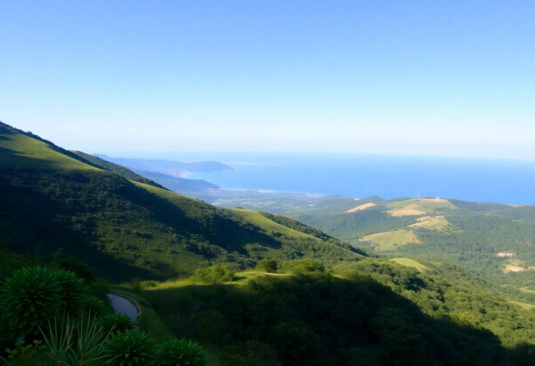 1216x832 19 11 30 23 835944082