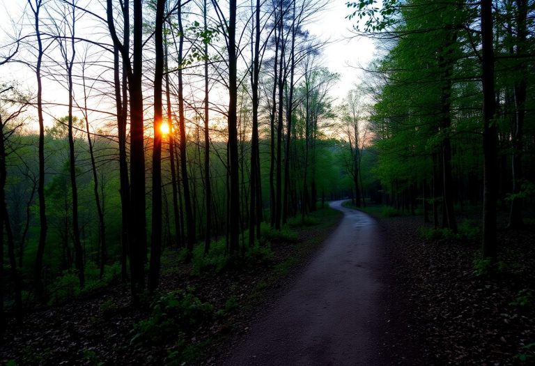 1216x832 20 15 45 29 209916037