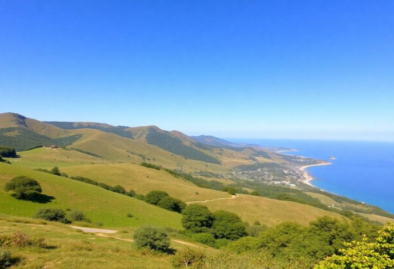 1216x832 24 03 45 19 698627060