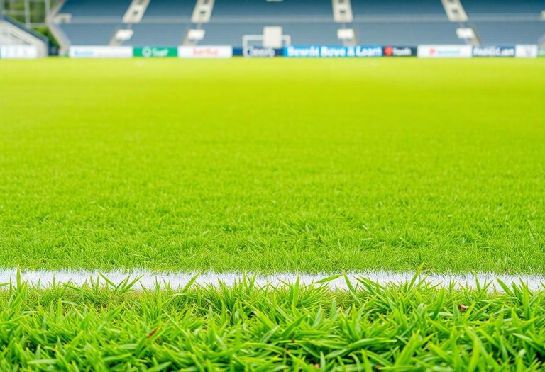 1216x832 24 13 15 21 475360480