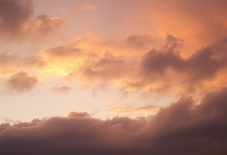 1216x832 25 11 45 22 413545871