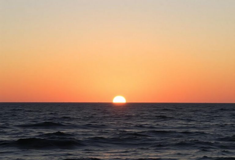 1216x832 26 08 15 19 583107765