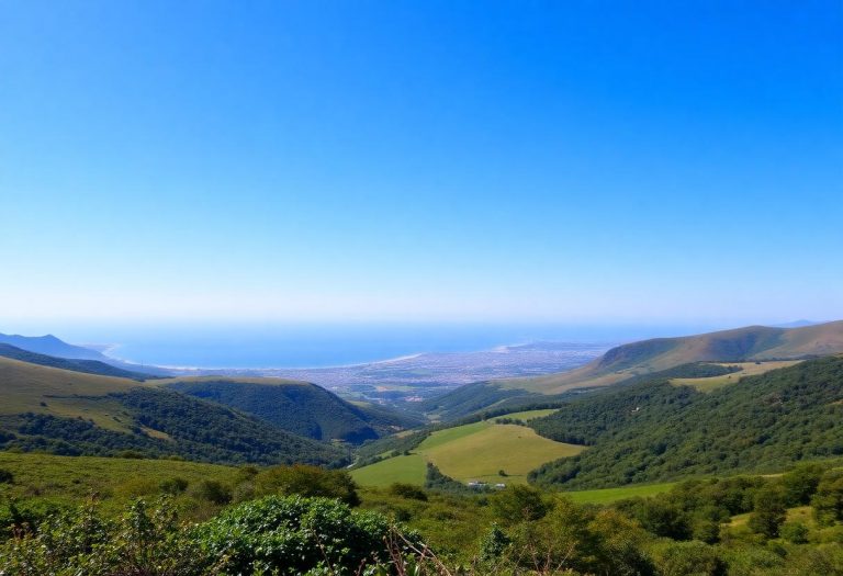 1216x832 30 07 45 27 558120607