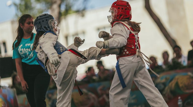 federazione italiana taekwondo 1