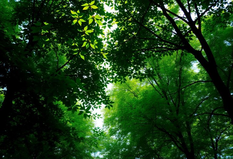 1216x832 07 11 30 26 505932167