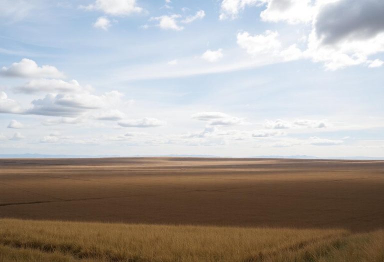 1216x832 18 06 30 41 964559983