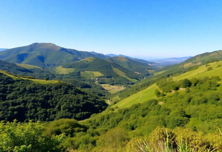 1216x832 01 00 15 20 147480994